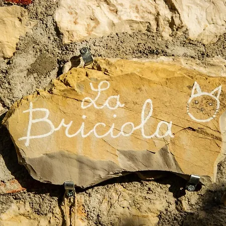 Apartamento Il Nido Di Briciola - Mytouristhome